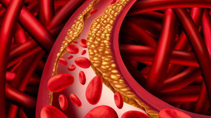 Red blood cells